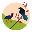 Graphic image of a pukeko and tui. 